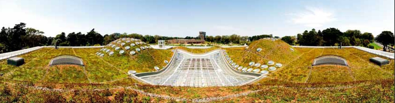 加州科学院